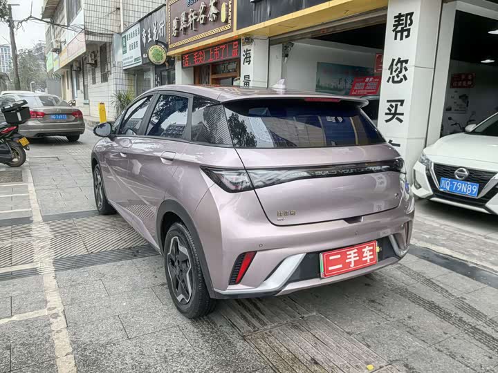 Фото 5 - BYD Dolphin