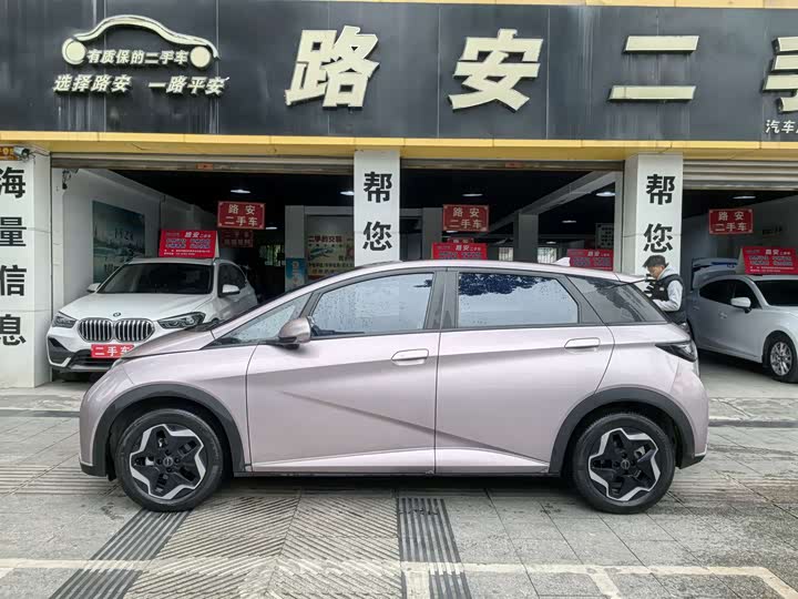 Фото 8 - BYD Dolphin