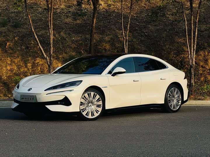 Фото 1 - Denza Z9