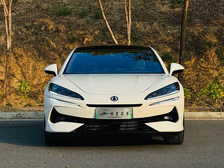 Фото 2 - Denza Z9