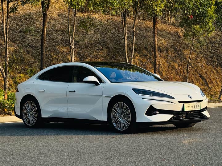 Фото 3 - Denza Z9