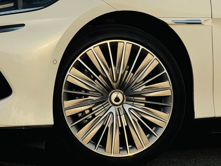 Фото 5 - Denza Z9