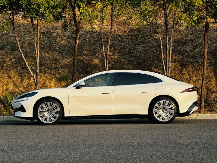 Фото 6 - Denza Z9