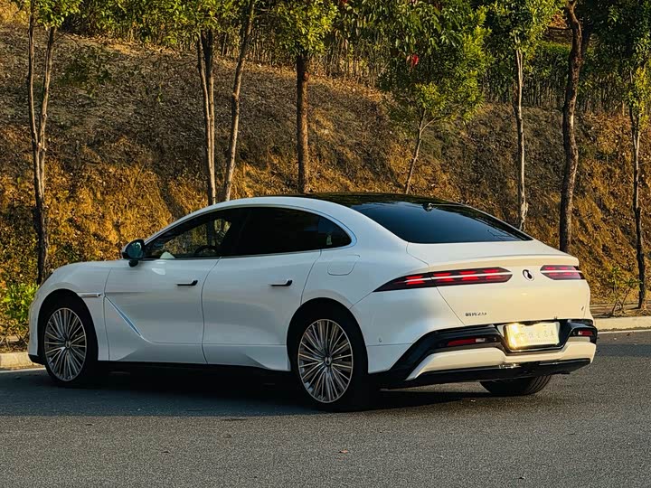 Фото 7 - Denza Z9