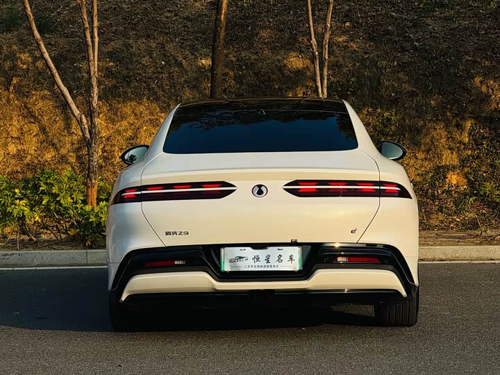 Фото 8 - Denza Z9