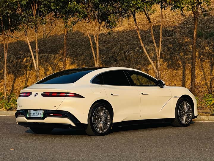 Фото 9 - Denza Z9