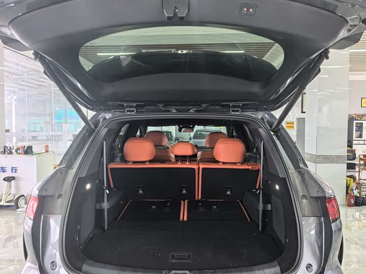 Фото 6 - BYD Tang L