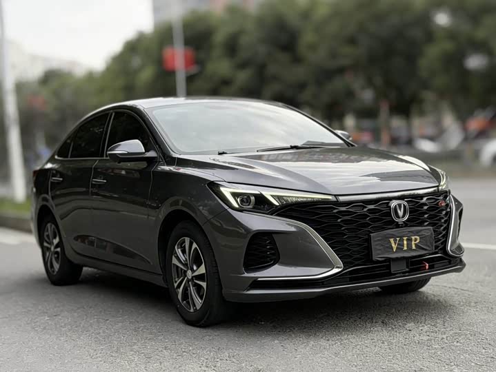 Фото 3 - Changan Eado Plus