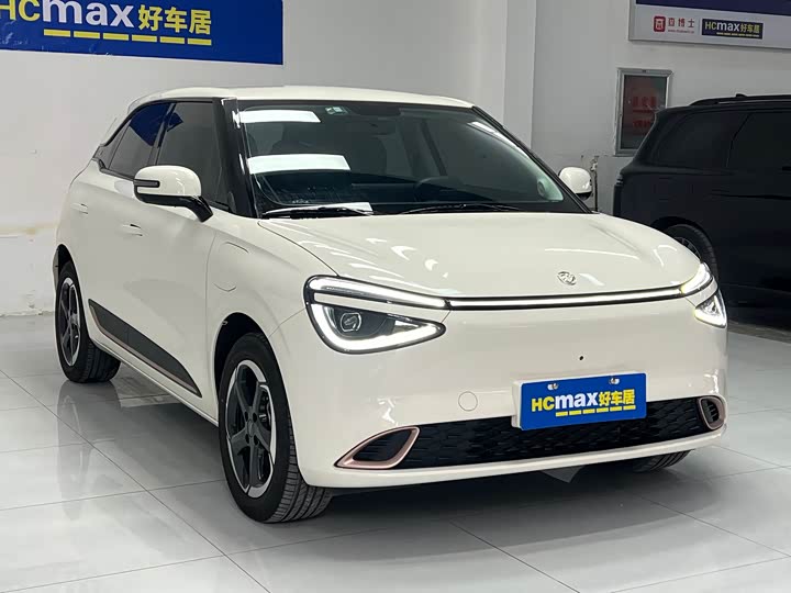 Фото 3 - Dongfeng Nammi 01