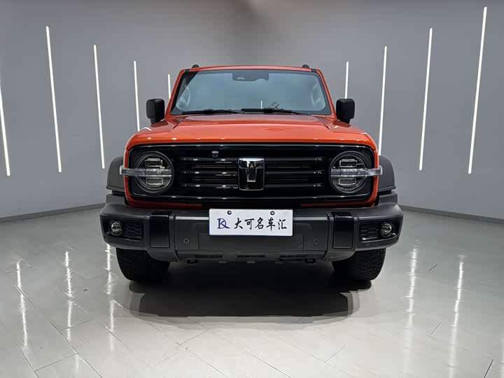 Фото 2 - Tank 300