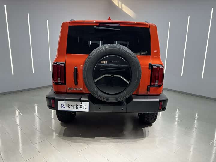 Фото 8 - Tank 300