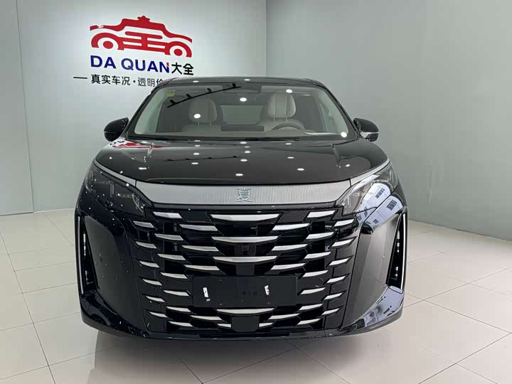 Фото 2 - BYD Xia