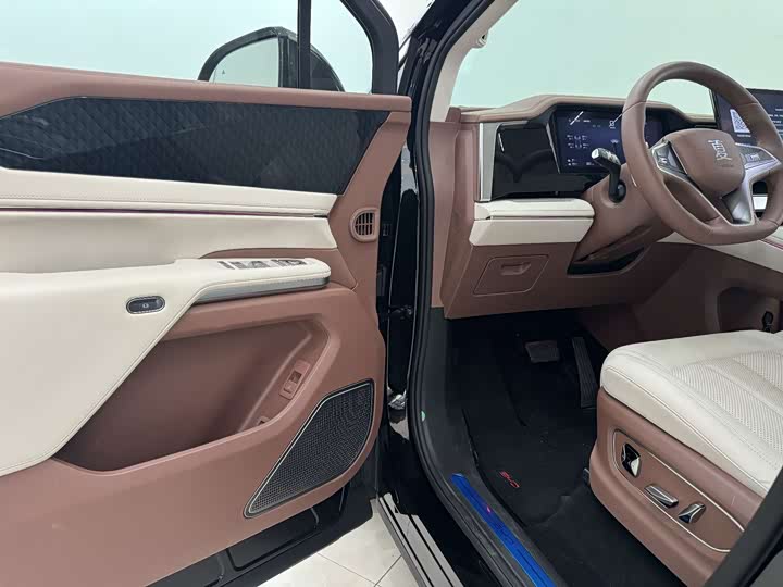 Фото 6 - BYD Xia