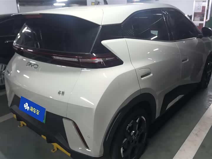 Фото 3 - BYD Seagull