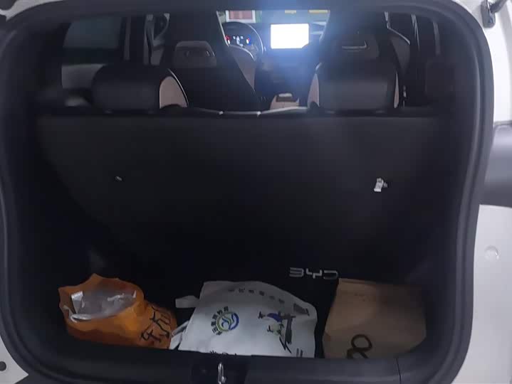 Фото 4 - BYD Seagull