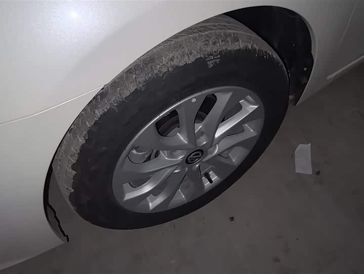 Фото 6 - Nissan Sylphy