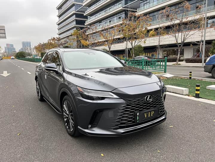 Фото 3 - Lexus RX Hybrid