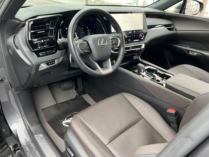 Фото 7 - Lexus RX Hybrid