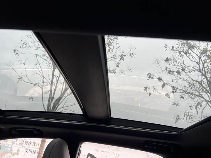 Фото 8 - Lexus RX Hybrid