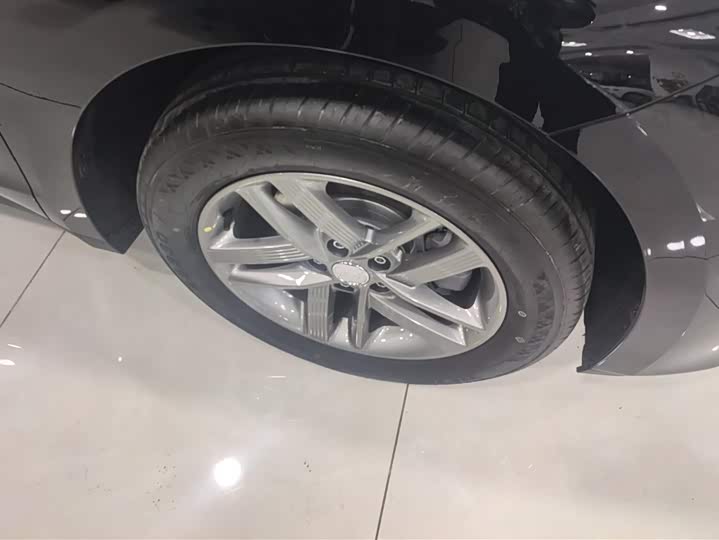 Фото 6 - Hongqi E-QM5