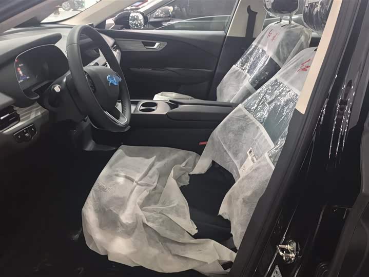 Фото 9 - Hongqi E-QM5