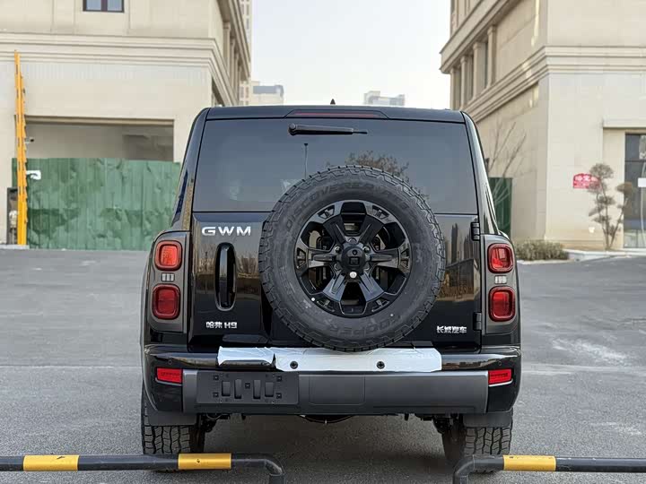 Фото 6 - Haval H9