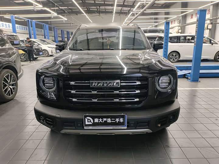 Фото 2 - Haval Dargo