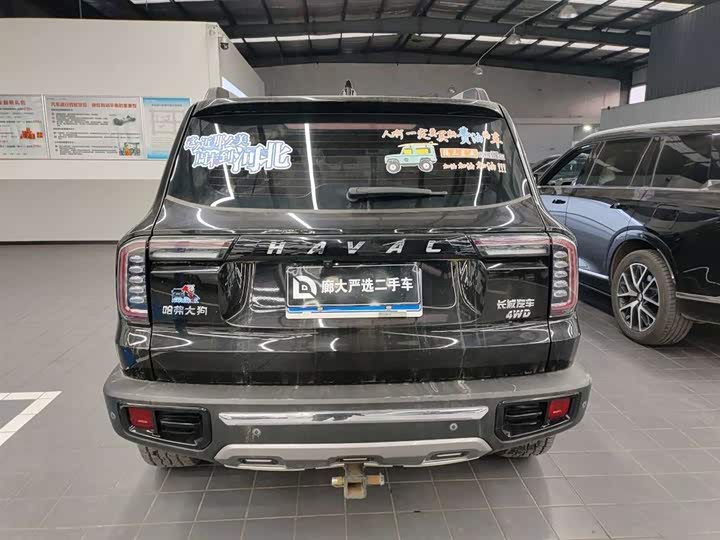 Фото 4 - Haval Dargo