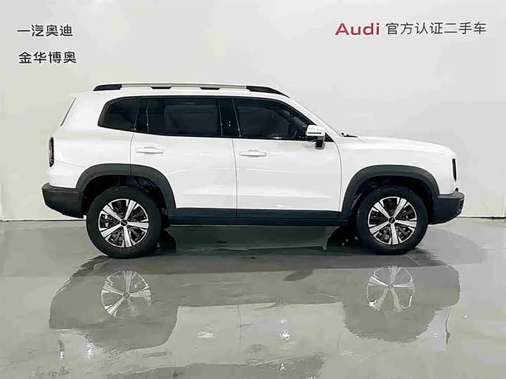 Фото 3 - Haval Dargo