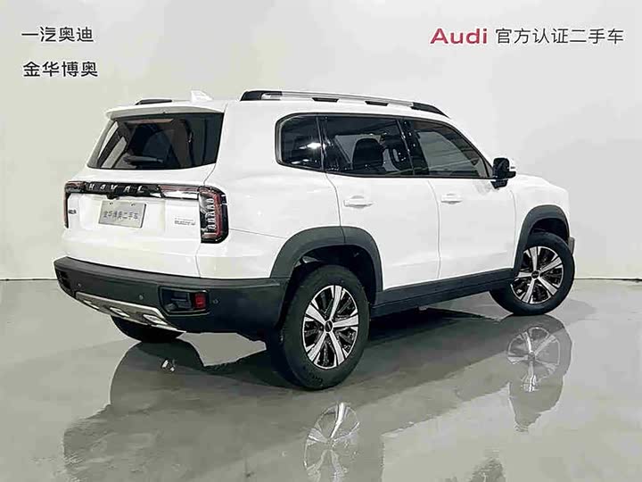 Фото 4 - Haval Dargo