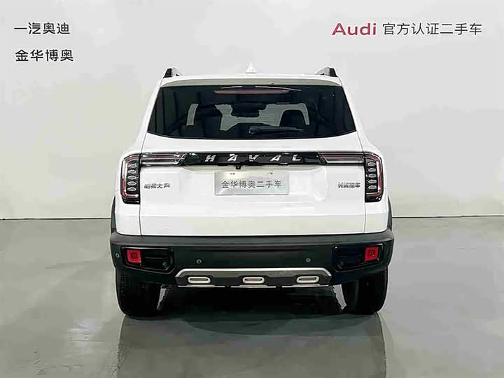 Фото 5 - Haval Dargo