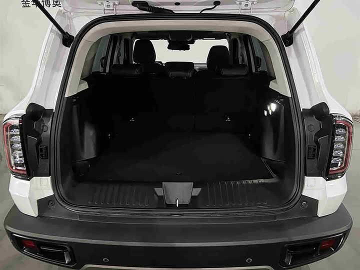 Фото 6 - Haval Dargo