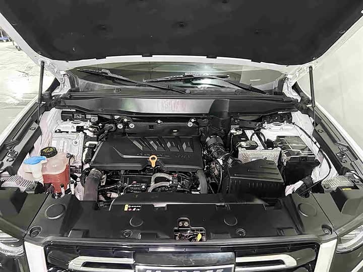 Фото 8 - Haval Dargo