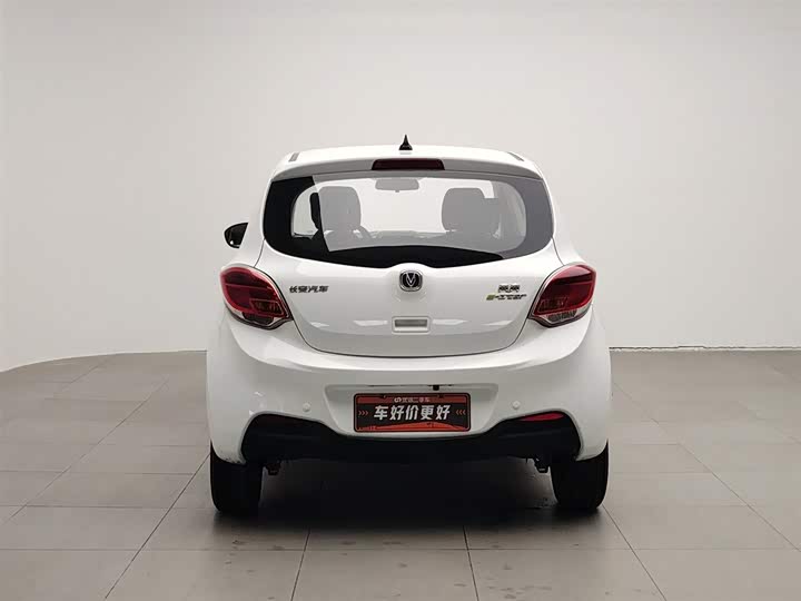 Фото 4 - Changan BenBen E-Star
