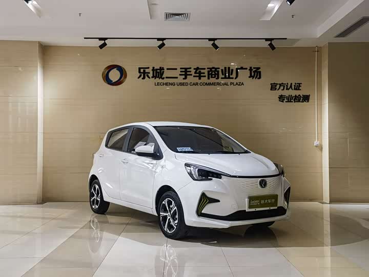 Фото 3 - Changan BenBen E-Star