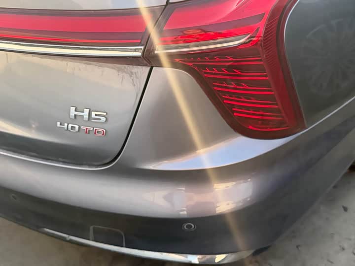 Фото 8 - Hongqi H5