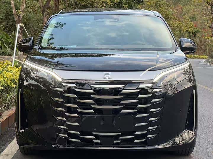 Фото 2 - BYD Xia