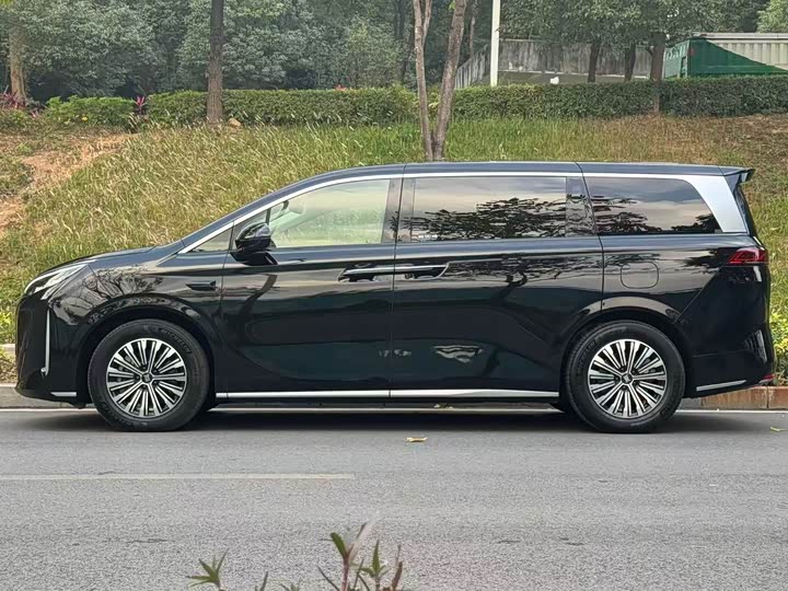 Фото 3 - BYD Xia