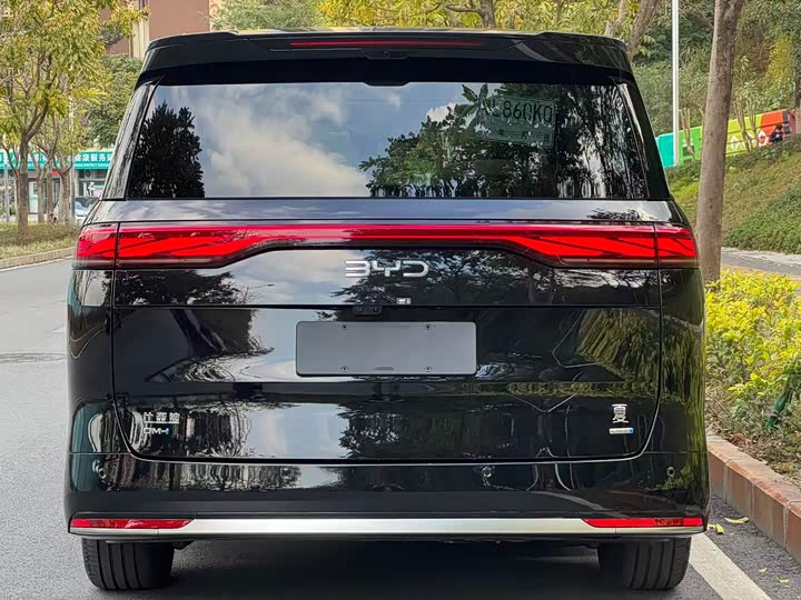 Фото 8 - BYD Xia