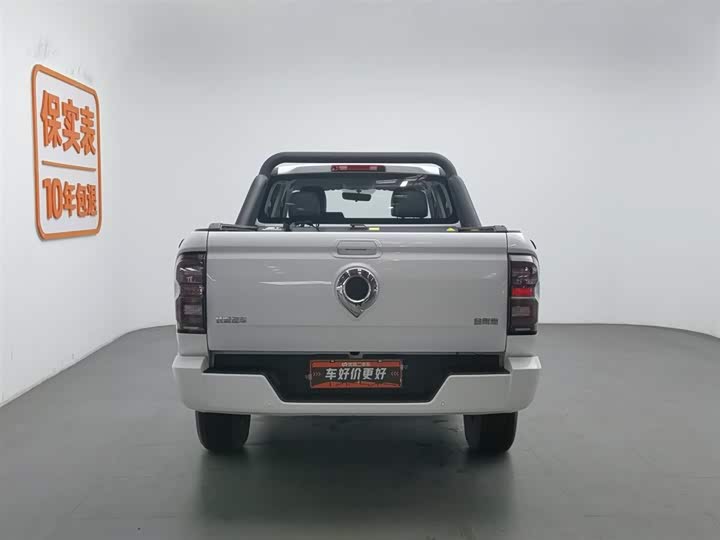 Фото 4 - Great Wall King Kong Poer