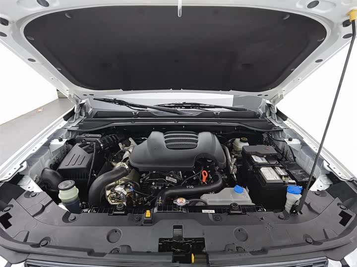 Фото 6 - Great Wall King Kong Poer