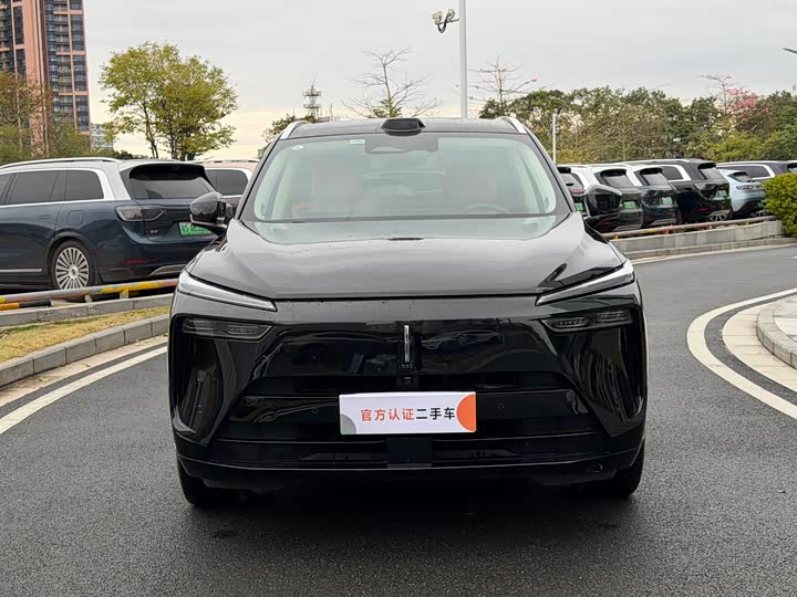 Фото 2 - Wey Lanshan