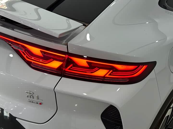 Фото 6 - BYD Song L