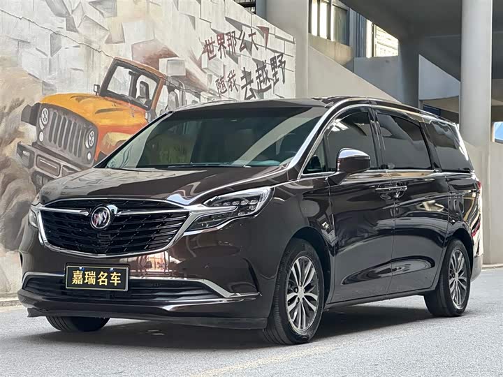 Фото 1 - Buick GL8 ES