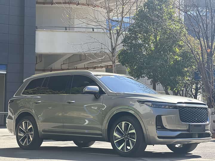 Фото 3 - LiXiang One