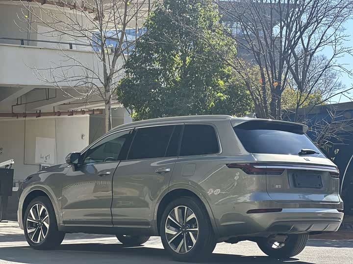 Фото 5 - LiXiang One