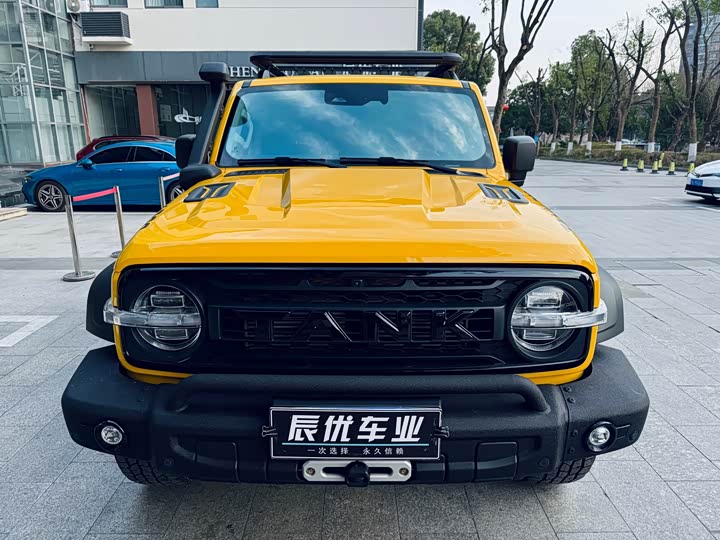 Фото 4 - Tank 300