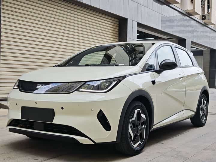 Фото 1 - BYD Dolphin