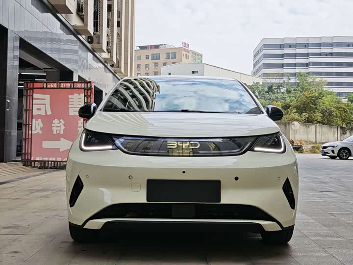 Фото 2 - BYD Dolphin