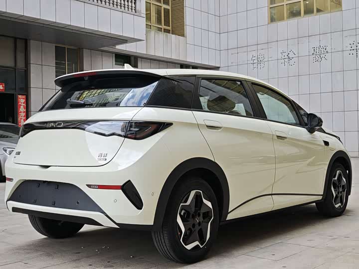 Фото 4 - BYD Dolphin